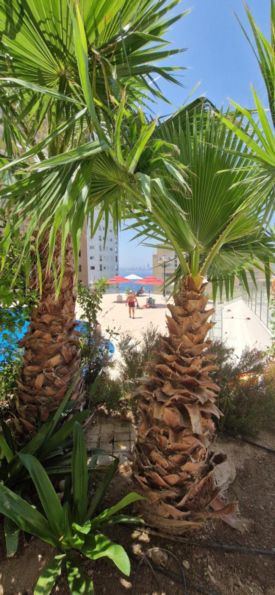 Nice Stay Trinisol 2 Benidorm Luaran gambar